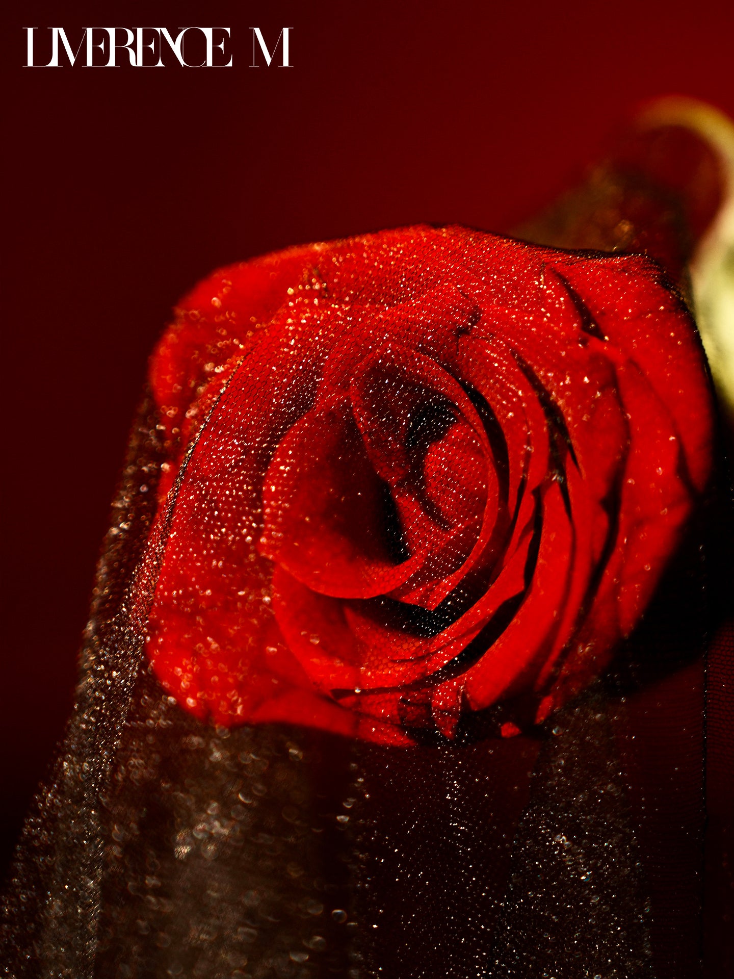 「The Morden age」1D ナイロンストッキング ワンラインクロッチ パール光沢 セクシー  レディース タイツ